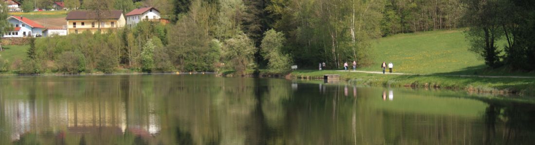 Der Rannasee ist der groesste Badesee im Bayerischen Wald - herrlich zum Schwimmen und Bootfahren